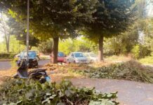 Roma San Basilio, intervento straordinario di cura del verde e decoro