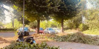 Roma San Basilio, intervento straordinario di cura del verde e decoro