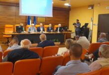 Peste suina africana, incontro alla Regione Basilicata con il commissario Caputo