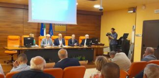 Peste suina africana, incontro alla Regione Basilicata con il commissario Caputo