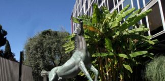 Cda Rai approva piani di produzione e trasmissione 2023