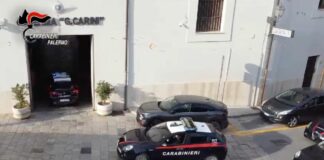 Blitz contro la mafia tra Palermo e Belluno, 11 arresti