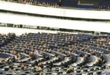 Dall’Europarlamento via libera alla legge per il ripristino della natura