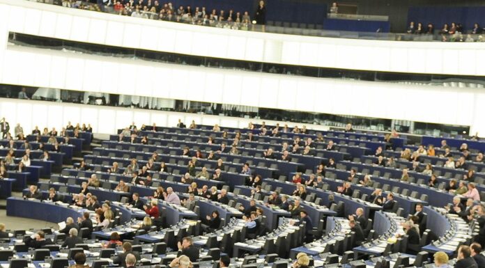 Dall’Europarlamento via libera alla legge per il ripristino della natura
