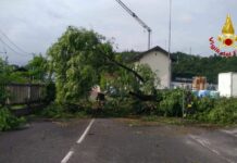 Maltempo Lombardia, tetti divelti e alberi caduti. 330 interventi Vvf