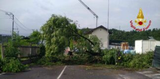 Maltempo Lombardia, tetti divelti e alberi caduti. 330 interventi Vvf
