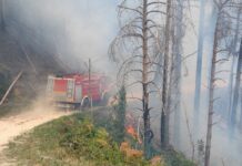 Approvato il Piano regionale antincendio 2023-2025