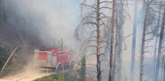 Approvato il Piano regionale antincendio 2023-2025