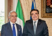 Piantedosi incontra il vicepresidente della Commissione Ue Schinas