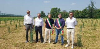 Arbolia, in Lombardia un nuovo bosco urbano da 3 mila piante