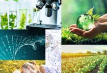 Biotecnologie in crescita, 13 miliardi di fatturato e 14 mila addetti