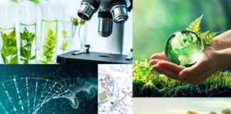 Biotecnologie in crescita, 13 miliardi di fatturato e 14 mila addetti