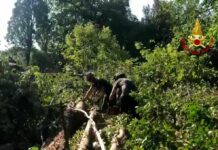 Emergenza maltempo in Veneto, Zaia “110 feriti”