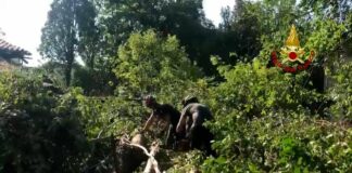 Emergenza maltempo in Veneto, Zaia “110 feriti”