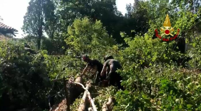 Emergenza maltempo in Veneto, Zaia “110 feriti”