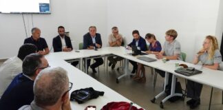 Porcu “Cervo sardo va protetto, serve una gestione attenta”