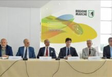Accordo quadro tra Regione e CNR, le Marche guardano allo spazio