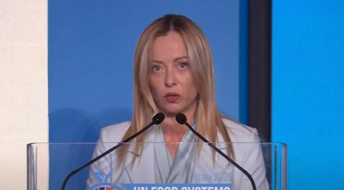 Meloni “Assicurare a tutti il diritto a non dover emigrare”