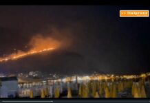 Notte di incendi a Palermo. Case minacciate da roghi, riapre l’aeroporto