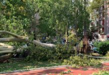 Maltempo a Milano, Aci chiede di sospendere Area B e Area C