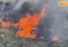 Gli incendi devastano Palermo e la Provincia
