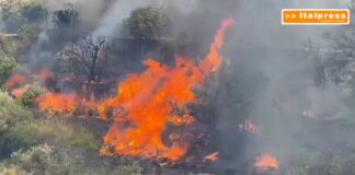 Gli incendi devastano Palermo e la Provincia