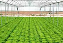 Agricoltura, da TerrAmore formazione nel segno della sostenibilità