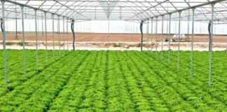 Agricoltura, da TerrAmore formazione nel segno della sostenibilità