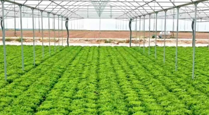 Agricoltura, da TerrAmore formazione nel segno della sostenibilità