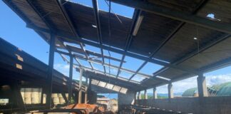 Maltempo, Zannier “In Friuli danni enormi per agricoltura e allevamento”