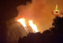 Incendi nel Salento e sul Gargano, Emiliano “Attenzione massima”
