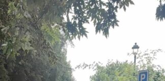 Maltempo, Sala “Spero situazione torni normale entro fine agosto”