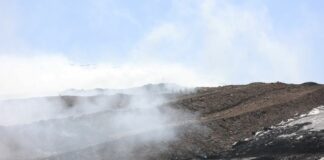 Palermo, ordinanza anti diossina del sindaco Lagalla. “Evitare carne e uova”