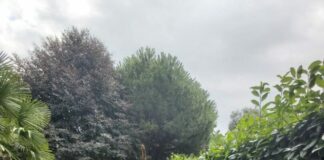 Maltempo in Lombardia, superati gli 800 milioni di danni