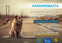 Torna campagna Anas contro abbandono animali con Lndc Animal Protection