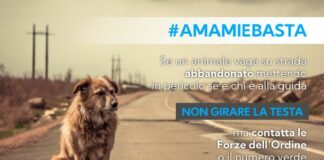 Torna campagna Anas contro abbandono animali con Lndc Animal Protection