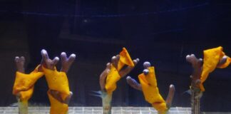 Dalla natura una soluzione per salvare i coralli dai cambiamenti climatici