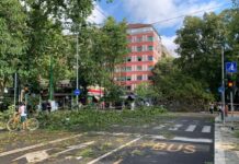 Violento temporale nella notte a Milano, morta una 16enne a Brescia