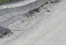 Alluvione in Mugello, bando per contributi alle aziende agricole