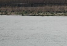 Lago di Garda, 50 mila euro dalla Regione Veneto per la sicurezza della navigazione