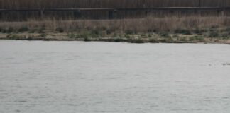 Lago di Garda, 50 mila euro dalla Regione Veneto per la sicurezza della navigazione