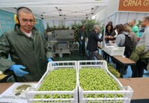 Beduschi “Regione Lombardia finanzia nuovo frantoio”