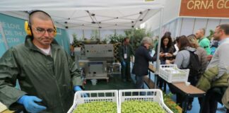 Beduschi “Regione Lombardia finanzia nuovo frantoio”