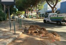 Dopo i roghi a Palermo squadre Rap in azione per la pulizia delle strade