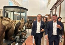 Riapre a dicembre il Museo di Scienze naturali di Torino