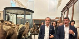 Riapre a dicembre il Museo di Scienze naturali di Torino