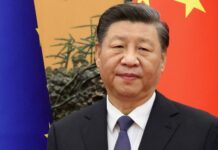 Cina, partenariato strategico con la Palestina