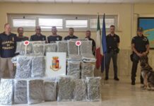 Intercettato al porto di Civitavecchia maxi carico di droga