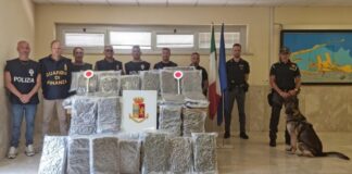 Intercettato al porto di Civitavecchia maxi carico di droga