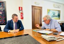 ‘Ndrangheta, Occhiuto incontra De Masi “Vicini a chi si ribella”